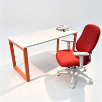 Table de travail industrielle robuste en métal, bureau d'ordinateur, table d'écriture pour bureau et atelier