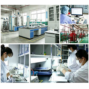 โบรมีเลน 100,000 ยู/ก ผงเกรดอาหารสำหรับทำให้เนื้อนุ่ม ใช้ในเบเกอรี่ และการไฮโดรไลซิส<span class=keywords><strong>ของ</strong></span>โปรตีน |   ได้รับการรับรองฮาลาลและโคเชอร์ - Product Image 4