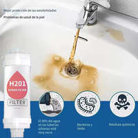 Filtre de Douche Coréen H201 Multi-saveurs Parfumé, Tête de Douche à Vitamine C, Pré-filtre Aromatique pour Salle de Bain