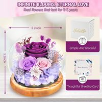 Großhandel Konservierte Blumen Rosen-Geschenkbox Ewige Rosen-Bouquets Echte Blumen Muttertag Geburtstagsgeschenk