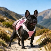 Sac à dos pour chien léger, résistant à l'eau, réglable, respirant, avec poches zippées pour petits chiens, harnais de randonnée pour chien