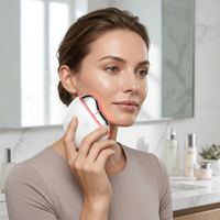 Produit populaire d'usine : Masseur électrique portatif USB pour le visage et le cou, lifting cutané, planche Gua Sha à usage domestique