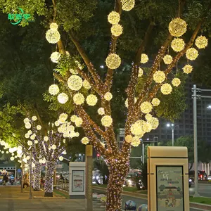 Outdoor Indoor Waterproof Holiday Led Light String Outdoor Christmas Ball Light Shape Motif Light