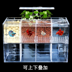 Milieuvriendelijke Desktop Lnbox Plastic Isolatieaquarium <span class=keywords><strong>Aquarium</strong></span> Incubator Voor Kleine Visfokkerij Watervrij En Doos Verpakt - Product Image 2