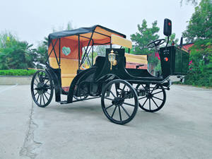 Carro de turismo sin caballos real europeo, parques de atracciones para paseos en carro eléctrico, venta de transporte especial - Product Image 6