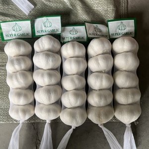 <span class=keywords><strong>Ail</strong></span> frais biologique standard, petits paquets de 3/5 pièces, tressé, pour les chaînes de distribution au détail - Product Image 6