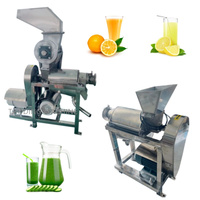 Presse à pulpe de fruits de goyave mâle Maldives broyeur fabricant de jus de fruits machine à extraire le jus de mangue presse-agrumes pressage de pulpe de fruits