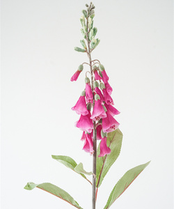 Fiori Artificiali di Verbasco Viola in Seta di Alta Qualità per Decorazioni Domestiche e Matrimoni - Product Image 4