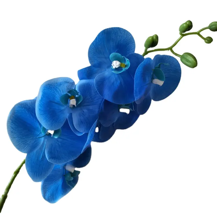 Giá Rẻ Bán Buôn Hoa Lan Nhân Tạo Hoa Cảm Ứng Thực Blue Latex Trang Trí Nội Thất Bướm Orchid Các Nhà Sản Xuất Từ Trung Quốc