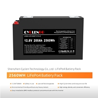 Baterai LiFePO4 12V 200Ah Deep Cycle Slimline untuk Caravan RV Camper Trailer Marine Solar Storage dengan Bluetooth BMS
