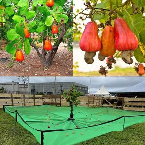 Rete da Giardino Anti UV in Plastica HDPE, Rete a Maglie <span class=keywords><strong>per</strong></span> Agricoltura, Raccolta di Olive, Mele, Anacardi e Frutti, Senza <span class=keywords><strong>Pali</strong></span> - Product Image 4