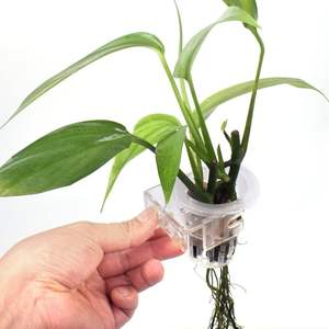 2 Stuks <span class=keywords><strong>Aquarium</strong></span> Plant Houder, Opknoping <span class=keywords><strong>Aquarium</strong></span> Plant Pot Met Gat Voor <span class=keywords><strong>Aquarium</strong></span> Planten Decoraties - Product Image 6
