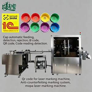 Machine de marquage laser automatique pour le codage QR des bouchons de bouteilles avec inspection visuelle, conforme aux normes russes Chestny Znak et ASL BELGISI - Product Image 2