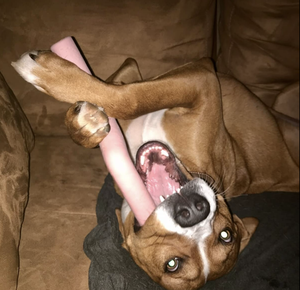 <span class=keywords><strong>Jouet</strong></span> à mâcher pour chien en caoutchouc naturel biodégradable jouets à mâcher pour chien <span class=keywords><strong>de</strong></span> compagnie nettoyage des dents distributeur <span class=keywords><strong>de</strong></span> nourriture jouets pour chien - Product Image 4