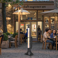 Chauffage de terrasse moderne en acier et granulés de bois - Compact, économe en énergie, foyer extérieur portable avec allumage manuel