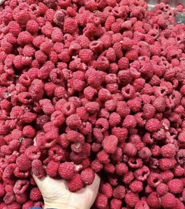 Nuevo diseño Fresh Black Red Seedless Raspberry Frozen Black Raspberries Frozen Frambuesas congeladas - Product Image 6