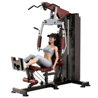 Machine de musculation tout-en-un pour les triceps et l'exercice du corps entier, appareil de gym à poste unique pour la maison