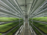100% Maisons préfabriquées modernes à énergie solaire sur mesure Conteneur fonctionnel Serre hydroponique Systèmes de culture verte avec cadre en métal