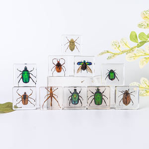 Cadeaux originaux en résine, artisanat en polyrésine, presse-papiers en acrylique avec un véritable spécimen de scarabée vert séché à l'intérieur - Product Image 6