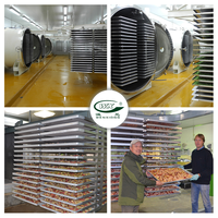 Industriële vacuümvriesdroogmachine, automatische fruit- en groentevriesdroger voor voedselconservering