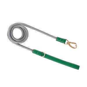 Kunden spezifisches eigenes Logo Personal isiertes Design Nylons eil Haustier halsband Verstellbares Luxus leder Xxl Hunde geschirr und Leinen-Set - Product Image 6