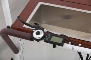 Nouveau commerce de détail alimentaire chariot <span class=keywords><strong>e</strong></span> vélo de crème glacé<span class=keywords><strong>e</strong></span> Mobile congélateur vélo avec solaire à vendre - Product Image 5