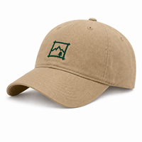 Casquettes de papa unisexes en pur coton, style streetwear, skate, surf, décontractées, promotionnelles, merchandising, vente en gros, OEM, avec logo brodé personnalisé