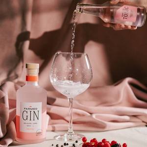 Ginebra Botánica Artesanal Belga, Paquete de 6 Botellas de 50cl, 43% ABV |   Venta al por mayor a granel con etiqueta personalizada y logotipo OEM - Cerveza artesanal (Cervecería Bertinchamps) - Product Image 1