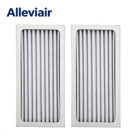 Filtre à air en carbone HEPA H13 990051000, lot de 2 pièces, compatible avec les modèles 04383/04384/04385/04386, filtre de remplacement Alleviair