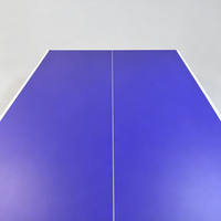 Planche de tennis de table moderne brillante de première qualité, écologique, sans formaldéhyde E0, prix avantageux, garantie 3 ans, vente directe d'usine