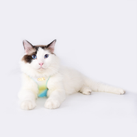Harnais pour chat en cuir avec logo personnalisé, léger, imperméable et antiadhésif, pour chats et petits chiens