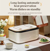 Cuisinière à riz double cuve 2,5L+2,5L, multifonctionnelle électrique intelligente pour la maison, capacité totale de 5L, pour 3-4 personnes