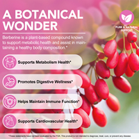 Parches de Berberina SOLOTREE OEM/ODM con Canela y Vitaminas del Grupo B para Control del Apetito, Apoyo al Metabolismo y Salud Inmunológica - 30 Parches/Bolsa