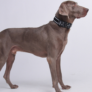 Nhiệm Vụ Nặng Nề Kim Loại Khóa Với Xử Lý Các Bản Vá Lỗi Cho Trung Bình Và Lớn Chó Cơ Bản Nylon Chiến Thuật Con Chó Cổ Áo Phản Quang Đào Tạo Cổ Áo - Product Image 2