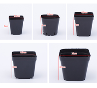 Bon marché carré 5.5cm 6cm 7cm 9cm 10cm meilleur petit pot de graine de fleur carré noir pour plantes succulentes pot de pépinière en plastique