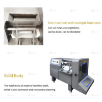 Machine de découpe de viande congelée modèle 350 Machine de découpe de cubes de boeuf Usine directe en acier inoxydable 304 avec lames remplaçables
