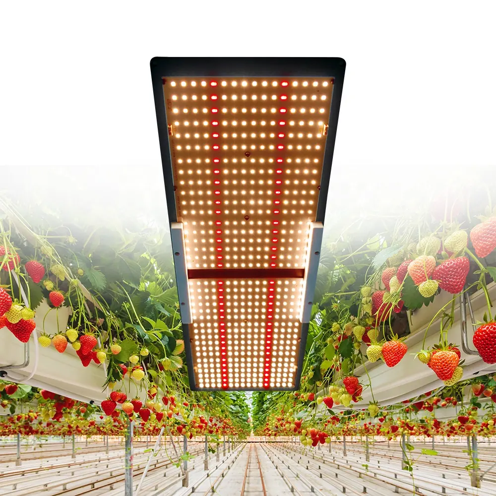Meijiu Wholesale Commercial Horticulture Indoor Full Spectrum Led Plant Grow Lights 240W Samsung Led Grow Light