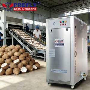 Générateur de vapeur/chaudière électrique commercial 36 kW en acier inoxydable, équipement portable de séchage de coprah, installation Plug & Play - Product Image 1