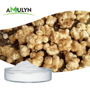 Мгновенный кофейный порошок цикория, индийский порошок цикория - Product Image 1