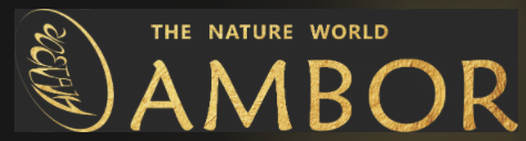 Nanning Ambor Arts And Crafts Co., Ltd. logo