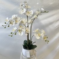 Lot de fleurs d'orchidées Phalaenopsis artificielles réalistes faites à la main, en plastique, de luxe, pour la décoration intérieure moderne et la décoration de la maison