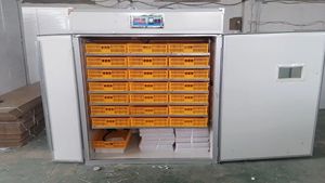 Incubateur automatique à œufs de poulet de capacité moyenne Baojieyuan Produit industriel - Product Image 3