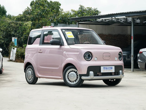<span class=keywords><strong>Voiture</strong></span> électrique compacte Livan Blue Balloon 2025 neuve et économique, véhicule à énergie nouvelle <span class=keywords><strong>automatique</strong></span>, en vente en Chine - Product Image 5
