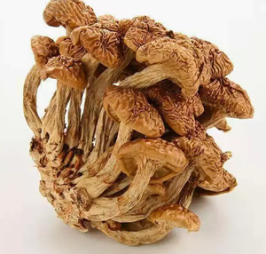 Funghi Nameko - Product Image 3