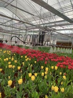 Équipement d'irrigation entièrement automatique pour les systèmes d'arrosage et d'apport d'engrais aux plantes