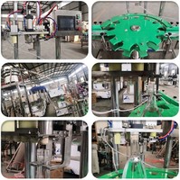 Machine automatique de remplissage de tube de bouchon de bouteille à tête unique, machine de remplissage de liège en bois pour le liège en T
