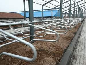 Automatización sistema de cría automatizado estructura de acero vaca cerdo <span class=keywords><strong>pollo</strong></span> caballo cabra cobertizo granja granero avicultura estable - Product Image 5