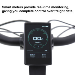 TXED OEM/ODM Support Unique Design 48v 10.4AH Double Lithium Battery 20Inch Alloy Frame 7Speed 48V250W Motor <strong>Electric</strong> Cargo <strong>Bike</strong> - Product Image 6