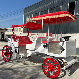 Carruaje Eléctrico sin Caballos de Diseño Innovador, Estilo Princesa Real - Product Image 1