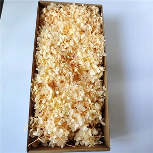 Fiore di ortensia conservato essiccato della migliore qualità da 100g per forniture di nozze - Product Image 4